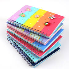 Notebooks – 172 Pages